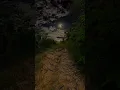 Download Lagu Asi navi Zindagi Nawa zamana
