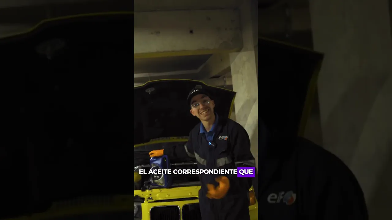 ELF - Los mejores aceites al mejor precio. : Youtube video player