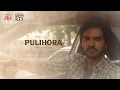Lagu Pulihora | Krishna and His Leela | Siddhu Jonnalagadda | Seerat Kapoor | Shraddha Srinath | Shalini
