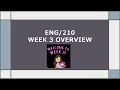 Week 3 Overview