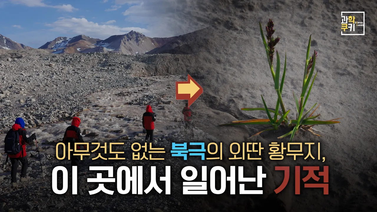 빙하가 사라진 땅에서만 시작되는 놀라운 과정