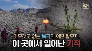 빙하가 사라진 땅에서만 시작되는 놀라운 과정