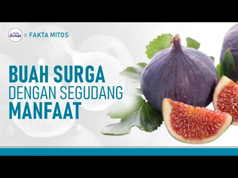 Ada di Al-Quran, Ini Fakta Buah Tin Menurut Ahli Gizi