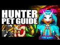12 1 The ULTIMATE Hunter Pet Guide WoW Midnight