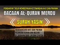 Download Lagu Murottal Surah yasin Merdu membuat haru full lyric arab dan terjemah