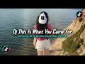 Download Lagu DJ THIS IS WHAT YOU CAME FOR STYLE KONDANG FULL REVERB SLOW MENGKANE 2025