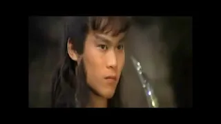 chinese super ninja final fight against the elements gold and wood
