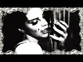 White Feather Hawk Tail Deer Hunter [dannycrushbeats remix] - Lana Del Rey[slowed + lyrics]