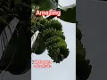 Amazing big banana saba fruit