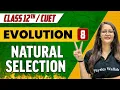 Evolution 08 Natural Selection Class