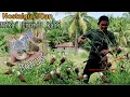 Download Lagu Karung Bisa Penuh kalau dapat semua | Mikat Burung Emprit Kaji Memang Seru  !!