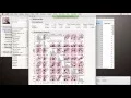 Data Preparation in JMP March 15th 2016