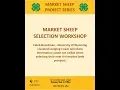 Wyoming 4-H Sheep Series - Market Sheep Selection