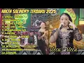 Download Lagu Niken Salindry - STECU STECU - Kembar musik full album terbaru 2025 || gedowo hero