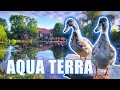 My Personal POND and Oasis of 20 Years Aqua Terra