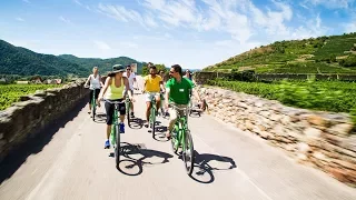 Wine Tasting Bike Tour Departing Vienna