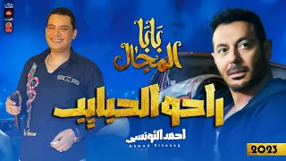احمد التونسى        راحو الحبايب        مسلسل بابا المجال        موال النجوم دندنها