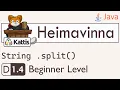 CP-1 005 Java Tutorial - String Splitting