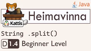 CP-1 005 Java Tutorial - String Splitting
