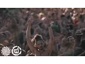 Download Lagu Tandu - Alien Pump (LOUD \u0026 Oforia Remix) @ Ozora Festival 2016