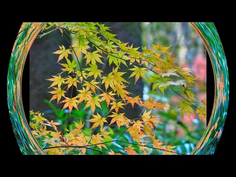 プロの技術で納得の仕上がりに！お客様のご要望をお聞かせください！