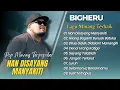Download Lagu BIGHERU - NAN DISAYANG MANYAKITI | HILANG BAGANTI BURUAK BATUKA || LAGU MINANG TERPOPULER 2025