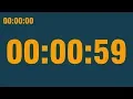 59 second timer with end alarm time elapsed and progress bar