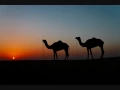 Green Velvet - Destination Unknown