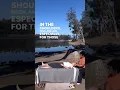 Welcome to EarthBody Sessions