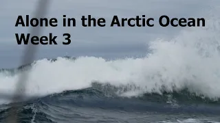 Alone in the Arctic Ocean, Week 3