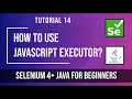 How to use JavaScriptExecutor in Web automation Tutorial 14 Selenium tutorial for beginners