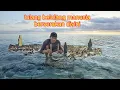 Download Lagu camping di pulau manimbora island kuburan dalam air 48 #1