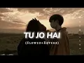 Download Lagu Tu Jo Hai To Mai Hu (SLOWED+REVERB) Song || Lofi Mood 🎧