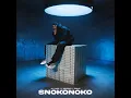 Lagu SNOKONOKO X NGIXOLELE[MASHUP]