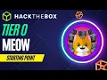 Hack The Box - Starting Point Tier 0 Meow Almond Force Channel Updates