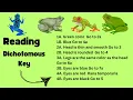 How to use a Dichotomous Key