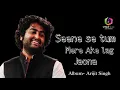 Download Lagu Seene se tm mere aake lag jao naa. (Album- Arijit Singh)