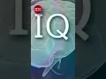 Do Nepali really have lowest IQ
