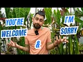 Download Lagu 🕷️ Pest PROOF? My Utterly Honest Houseplant Pest Guide