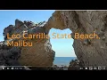 4K Caves Tide Pool Animals Leo Carrillo Beach Malibu California Baby Octopuses Sea Hares