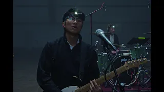 Flawed Mangoes - Afterlife (Live Performance Album)