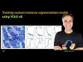 334 - Training custom instance segmentation model using YOLO v8