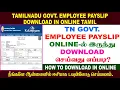 TN GOVERNMENT EMPLOYEE PAYSLIP DOWNLOAD IN ONLINE TAMIL 2025 TN PAYSLIP CHECK ONLINE
