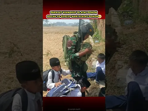 TNI NYANGKUT DIPOHON DIBANTU BOC∆H SD #tniad #videoshort #hiburan #komedi