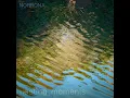 Fleeting Moments - Norrona