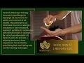 Serenity Massage and Wellness Spa
