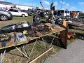 la pulga de la raza Florida pt