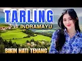 Download Lagu TARLING INDRAMAYU BIKIN TENANG SAAT SANTAI 
