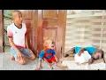 Download Lagu CUTIS funny has strange action make Dad \u0026 baby monkey confused worried
