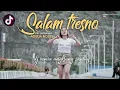 Download Lagu Salam Tresno - Adelia Nosse (Official Music Video )